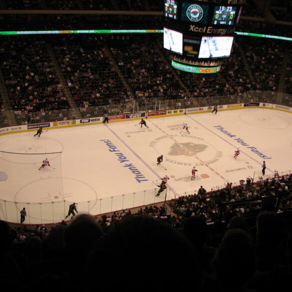 Detroit Red Wings vs Minnesota Wild