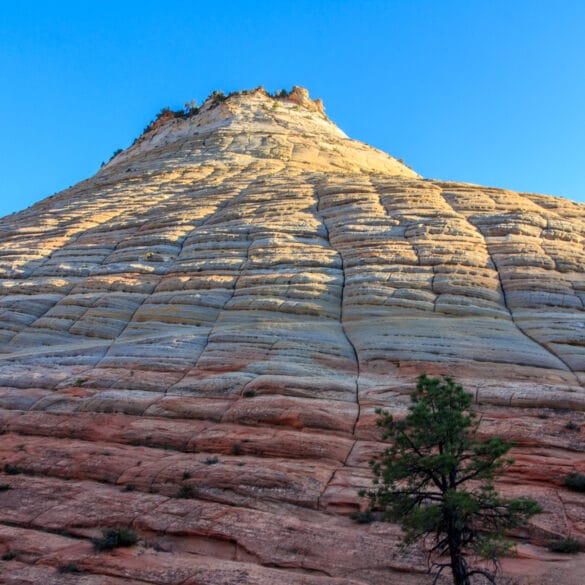 Checkerboard Mesa