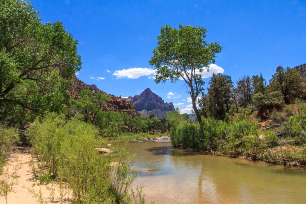 Zion National Park