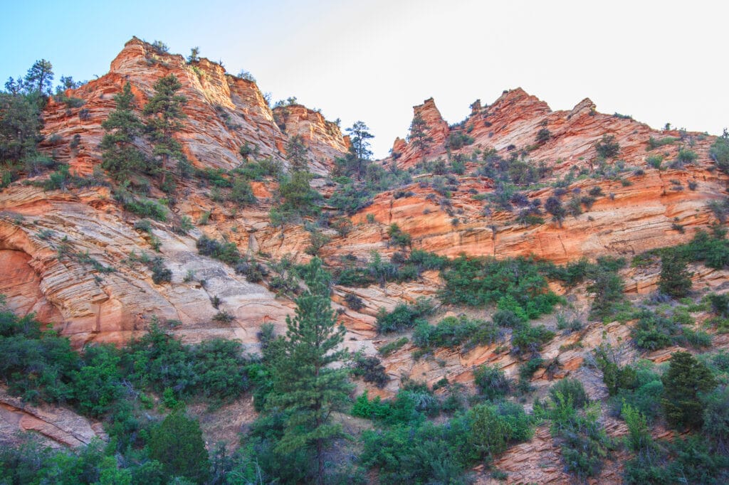 Zion National Park in Springdale Utah