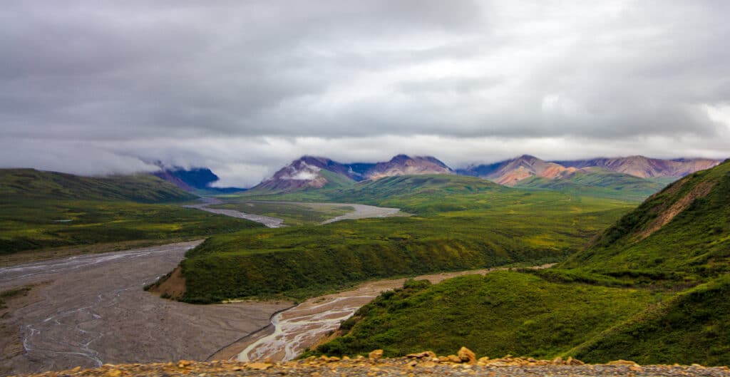 Denali Landscape