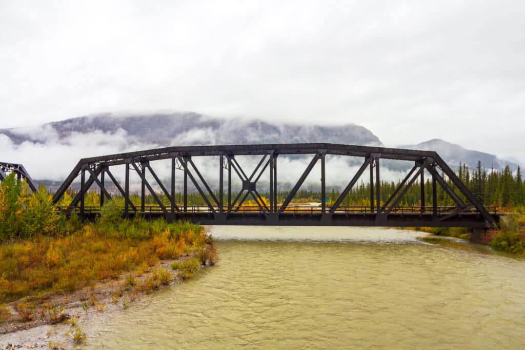 Foggy Morning in Jasper National Park