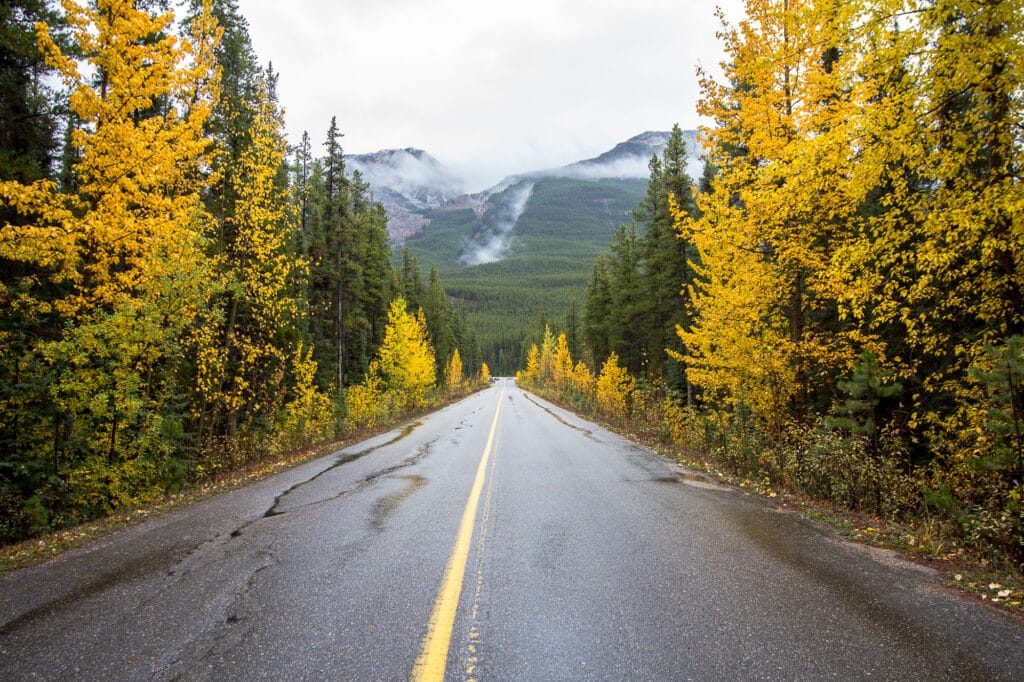 Road in Fall in Jasper National Park