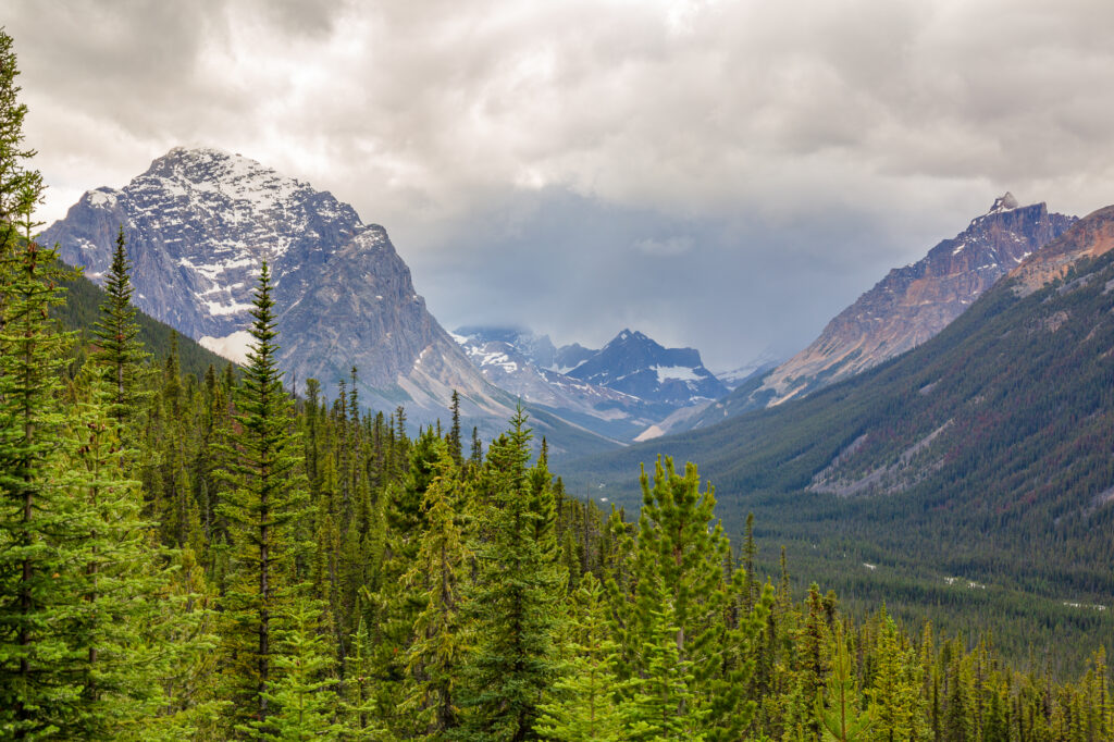 Beautiful Tonquin Valley in Jasper National Park