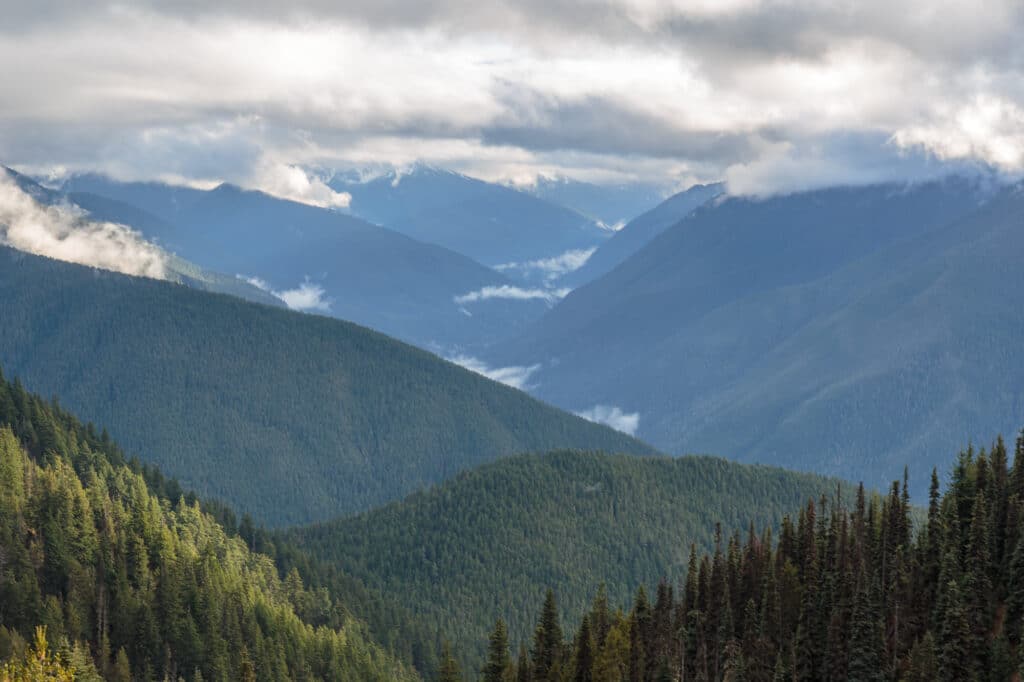 Hurricane Ridge Road