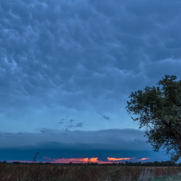 Shelf at Sunset