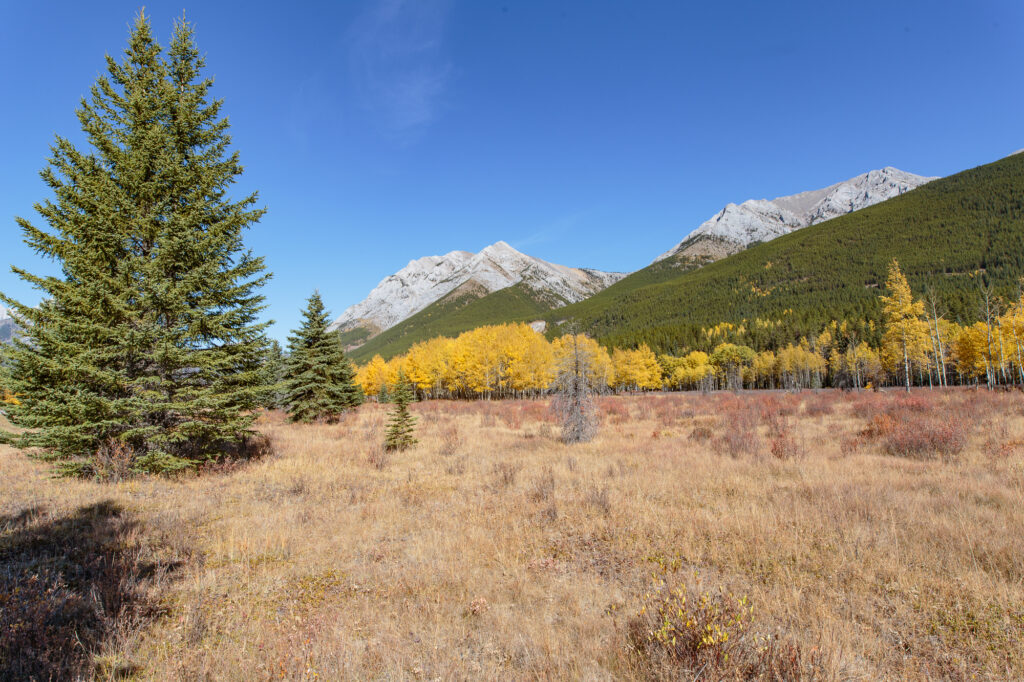 Kananaskis Country, Alberta Canada