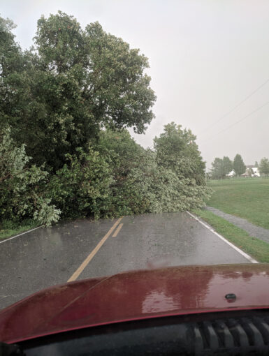 Storm Damage in Republic Missouri