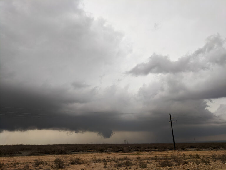 Bust near Kermit, Texas