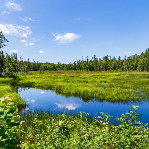 Michigan's Upper Peninsula