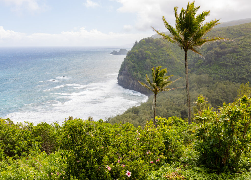 North Shore Big Island