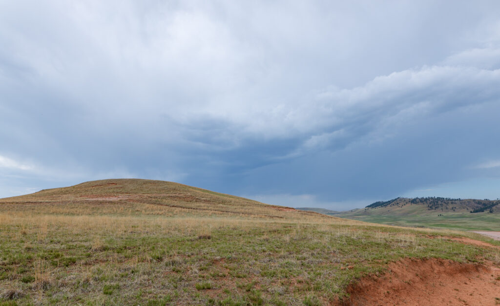 On a back road in Wind Cave National Park