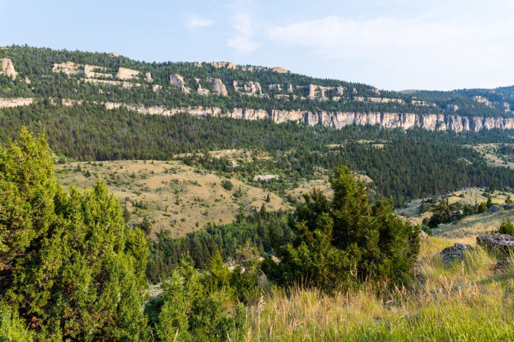 Tensleep Canyon Overview